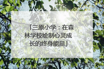 三原小学：在森林学校绘制心灵成长的终身能量