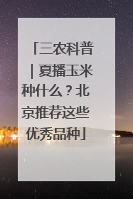 三农科普｜夏播玉米种什么？北京推荐这些优秀品种