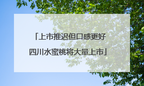 上市推迟但口感更好 四川水蜜桃将大量上市