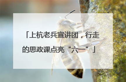 上杭老兵宣讲团，行走的思政课点亮“六一”