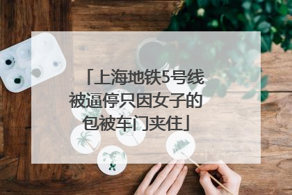 上海地铁5号线被逼停只因女子的包被车门夹住
