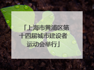上海市黄浦区第十四届城市建设者运动会举行