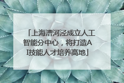 上海漕河泾成立人工智能分中心，将打造AI技能人才培养高地