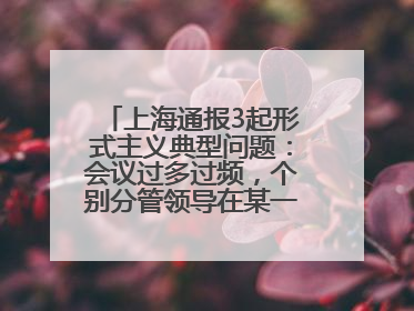 上海通报3起形式主义典型问题：会议过多过频，个别分管领导在某一天同一时段需参加3个会议