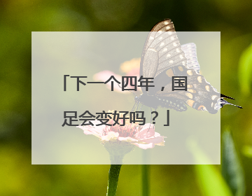 下一个四年，国足会变好吗？