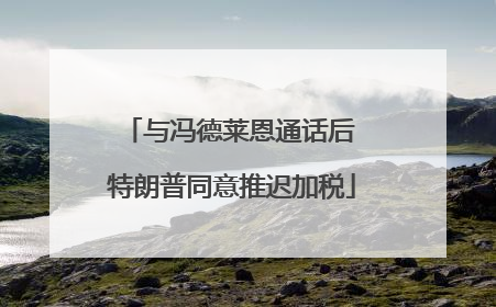 与冯德莱恩通话后 特朗普同意推迟加税