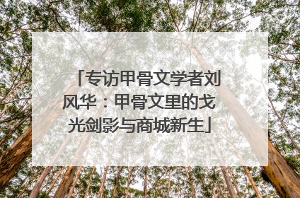 专访甲骨文学者刘风华：甲骨文里的戈光剑影与商城新生