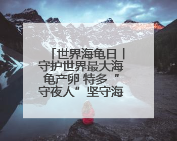 世界海龟日丨守护世界最大海龟产卵 特多“守夜人”坚守海滩30多年