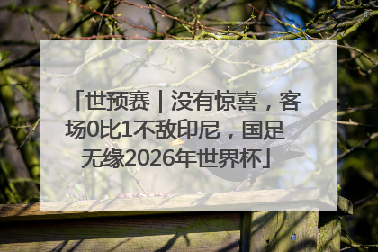 世预赛｜没有惊喜，客场0比1不敌印尼，国足无缘2026年世界杯