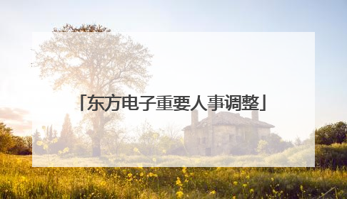 东方电子重要人事调整