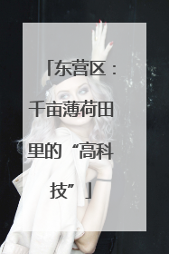 东营区：千亩薄荷田里的“高科技”