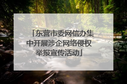 东营市委网信办集中开展涉企网络侵权举报宣传活动