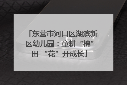 东营市河口区湖滨新区幼儿园：童耕“棉”田 “花”开成长
