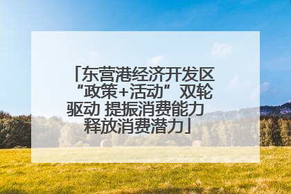 东营港经济开发区“政策+活动”双轮驱动 提振消费能力 释放消费潜力