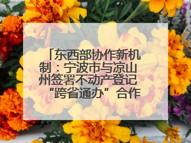 东西部协作新机制：宁波市与凉山州签署不动产登记“跨省通办”合作框架协议