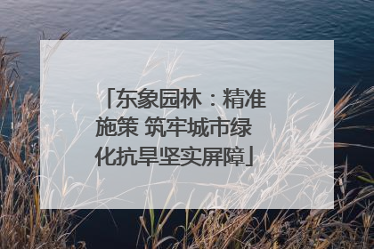 东象园林：精准施策 筑牢城市绿化抗旱坚实屏障