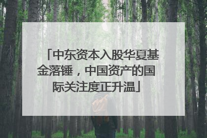 中东资本入股华夏基金落锤，中国资产的国际关注度正升温