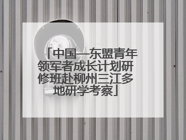 中国—东盟青年领军者成长计划研修班赴柳州三江多地研学考察