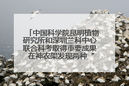 中国科学院昆明植物研究所和深圳兰科中心联合科考取得重要成果 在神农架发现两种“国保”级兰花
