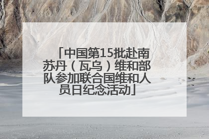 中国第15批赴南苏丹（瓦乌）维和部队参加联合国维和人员日纪念活动