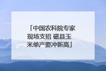 中国农科院专家现场支招 磁县玉米单产要冲新高