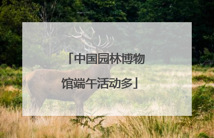中国园林博物馆端午活动多
