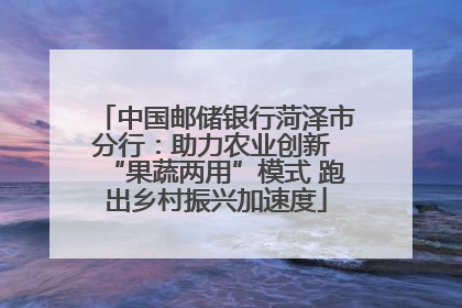 中国邮储银行菏泽市分行：助力农业创新 “果蔬两用”模式 跑出乡村振兴加速度