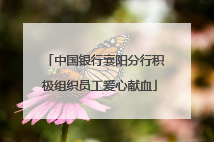 中国银行襄阳分行积极组织员工爱心献血