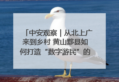 中安观察｜从北上广来到乡村 黄山黟县如何打造“数字游民”的“桃花源”？
