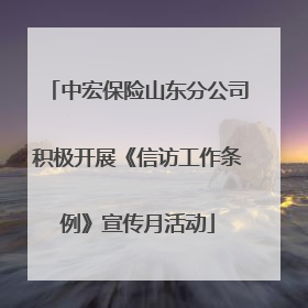 中宏保险山东分公司积极开展《信访工作条例》宣传月活动