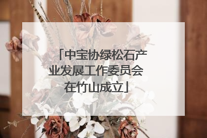 中宝协绿松石产业发展工作委员会在竹山成立