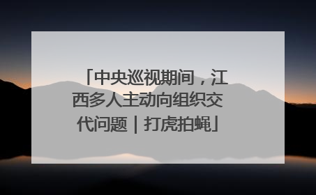 中央巡视期间，江西多人主动向组织交代问题｜打虎拍蝇