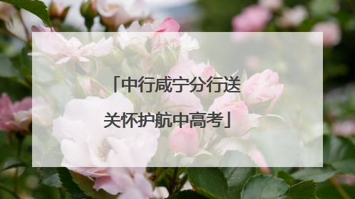 中行咸宁分行送关怀护航中高考