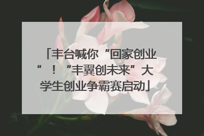 丰台喊你“回家创业”！“丰翼创未来”大学生创业争霸赛启动