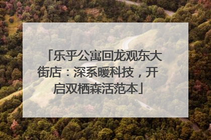 乐乎公寓回龙观东大街店：深系暖科技，开启双栖森活范本