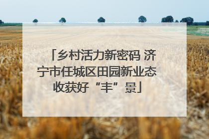 乡村活力新密码 济宁市任城区田园新业态收获好“丰”景