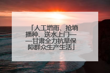 人工增雨、抢墒播种、送水上门——甘肃全力抗旱保障群众生产生活