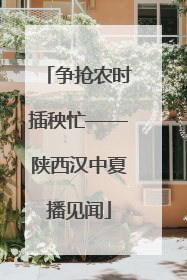 争抢农时插秧忙——陕西汉中夏播见闻