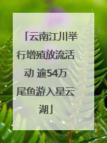 云南江川举行增殖放流活动 逾54万尾鱼游入星云湖