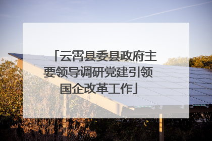 云霄县委县政府主要领导调研党建引领国企改革工作
