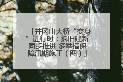 井冈山大桥“变身”进行时：拆旧建新同步推进 多举措保障汛期施工（图）