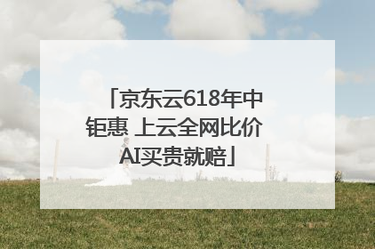 京东云618年中钜惠 上云全网比价 AI买贵就赔