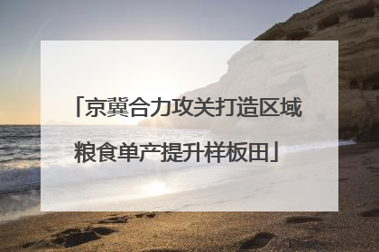 京冀合力攻关打造区域粮食单产提升样板田