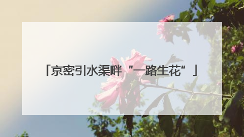 京密引水渠畔“一路生花”