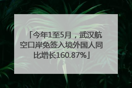 今年1至5月，武汉航空口岸免签入境外国人同比增长160.87%