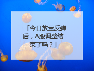 今日放量反弹后，A股调整结束了吗？