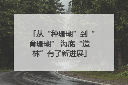 从“种珊瑚”到“育珊瑚” 海底“造林”有了新进展