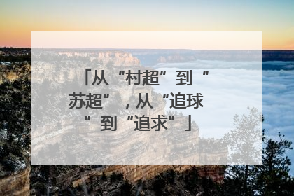 从“村超”到“苏超”，从“追球”到“追求”