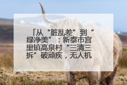 从“脏乱差”到“绿净美”：新泰市宫里镇高泉村“三清三拆”破顽疾，无人机“天眼”护新颜