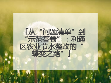 从“问题清单”到“示范答卷”：利通区农业节水整改的“蝶变之路”